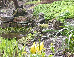 The Water Garden at Dundonnell Dundonnell-watergarden (202K)
