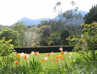 An Teallach from Dundonnell Garden View-from-Dundonnell (227K)
