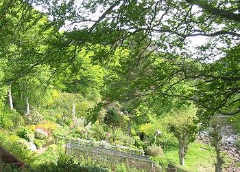 Gruinard Garden - A surprise!
